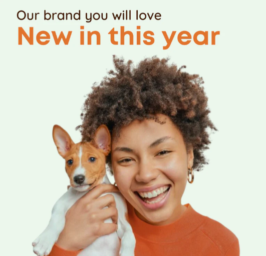🐾 Peta2z Review 2026: The Online Pet Supply Store Helping Pet Owners Save Time, Money, and Stress