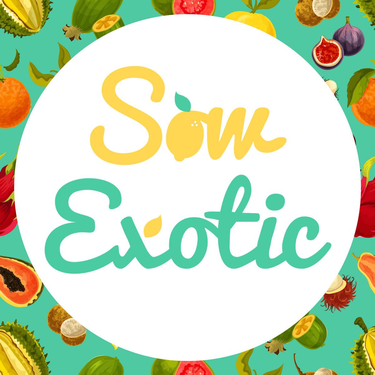 Sow Exotic