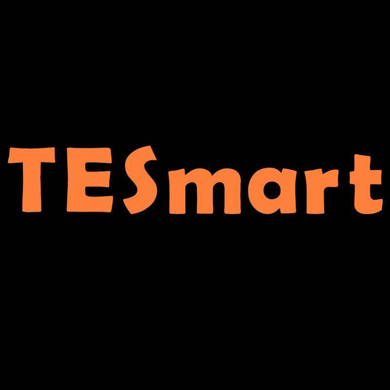 TESmart