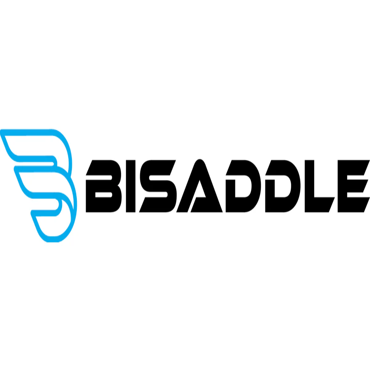 BiSaddle