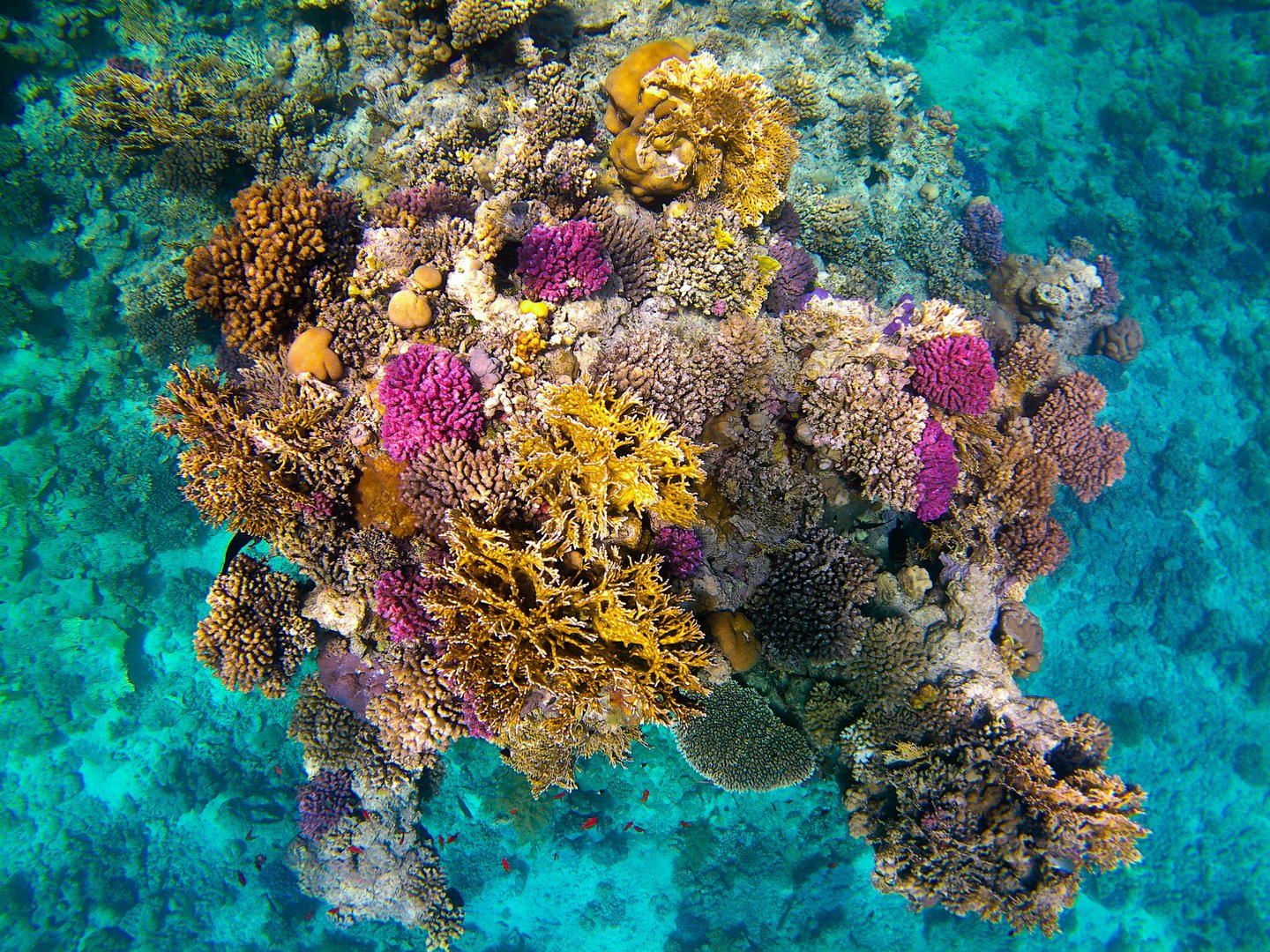 Sharm El Naga from Hurghada | Snorkeling Beach & Relaxing Red Sea Experience