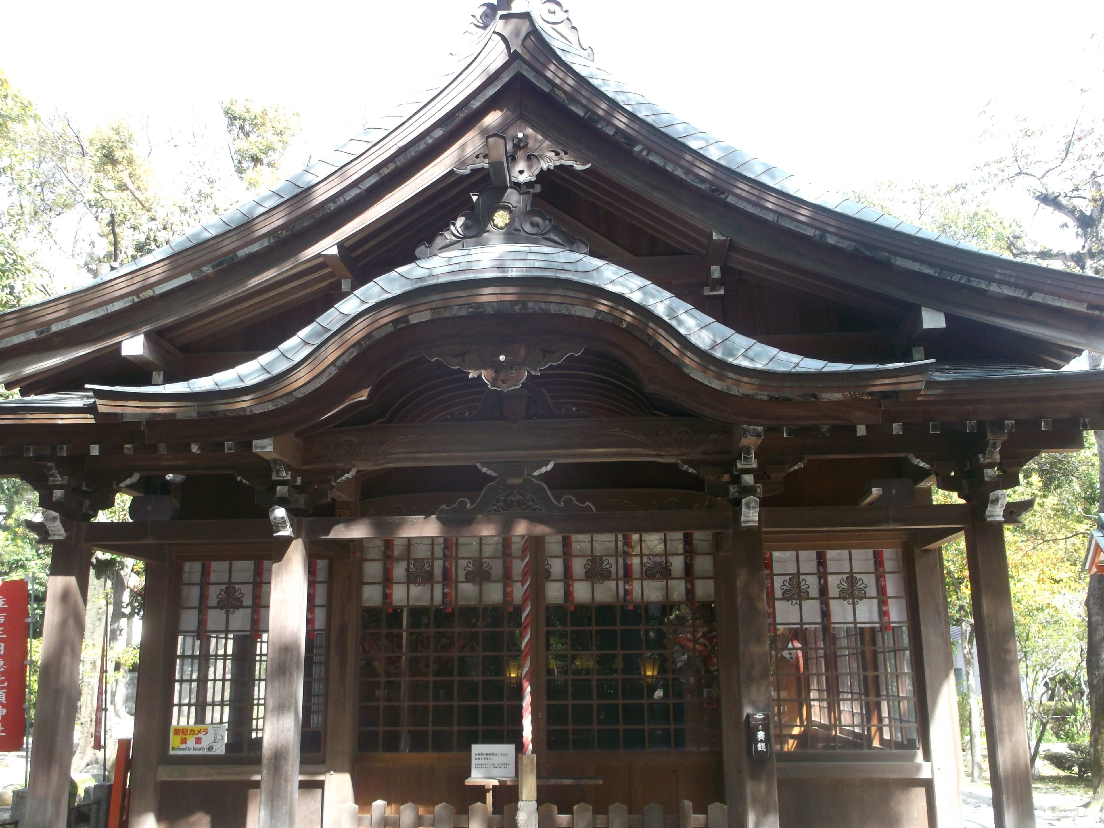 DSCF4869.JPG