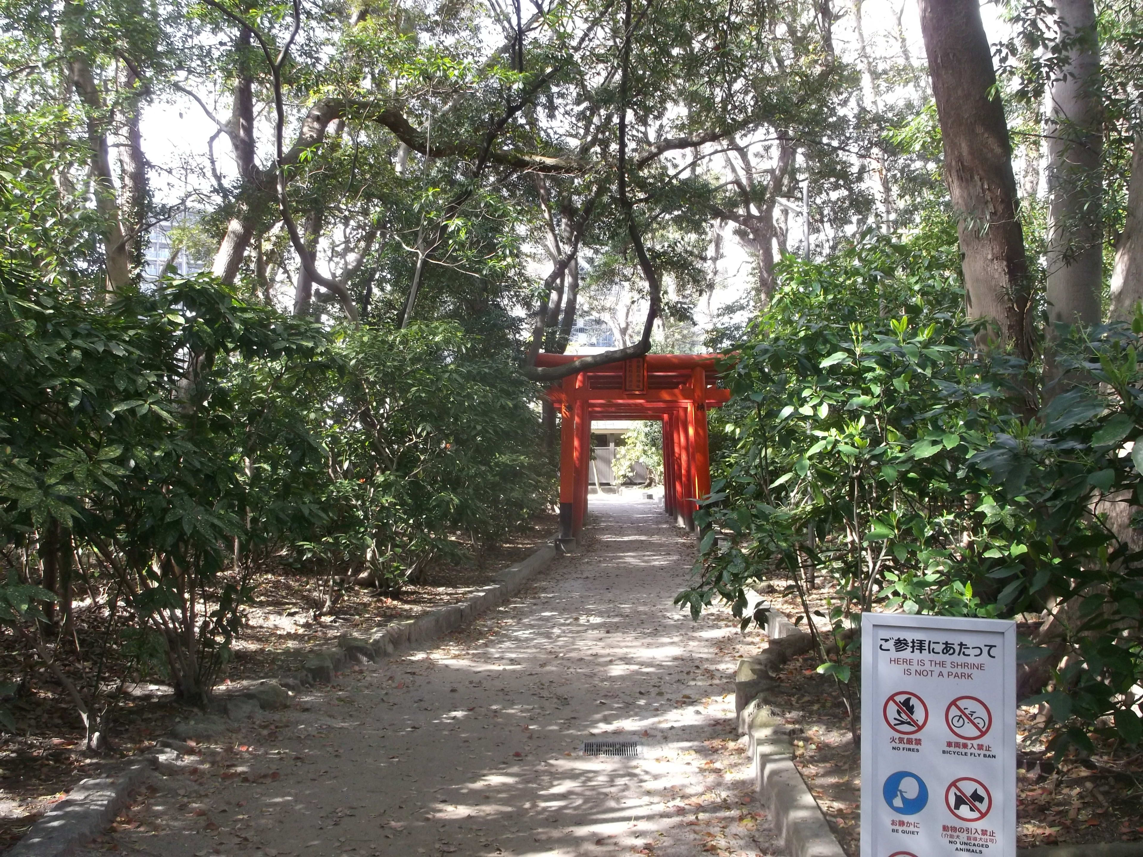 DSCF4874.JPG