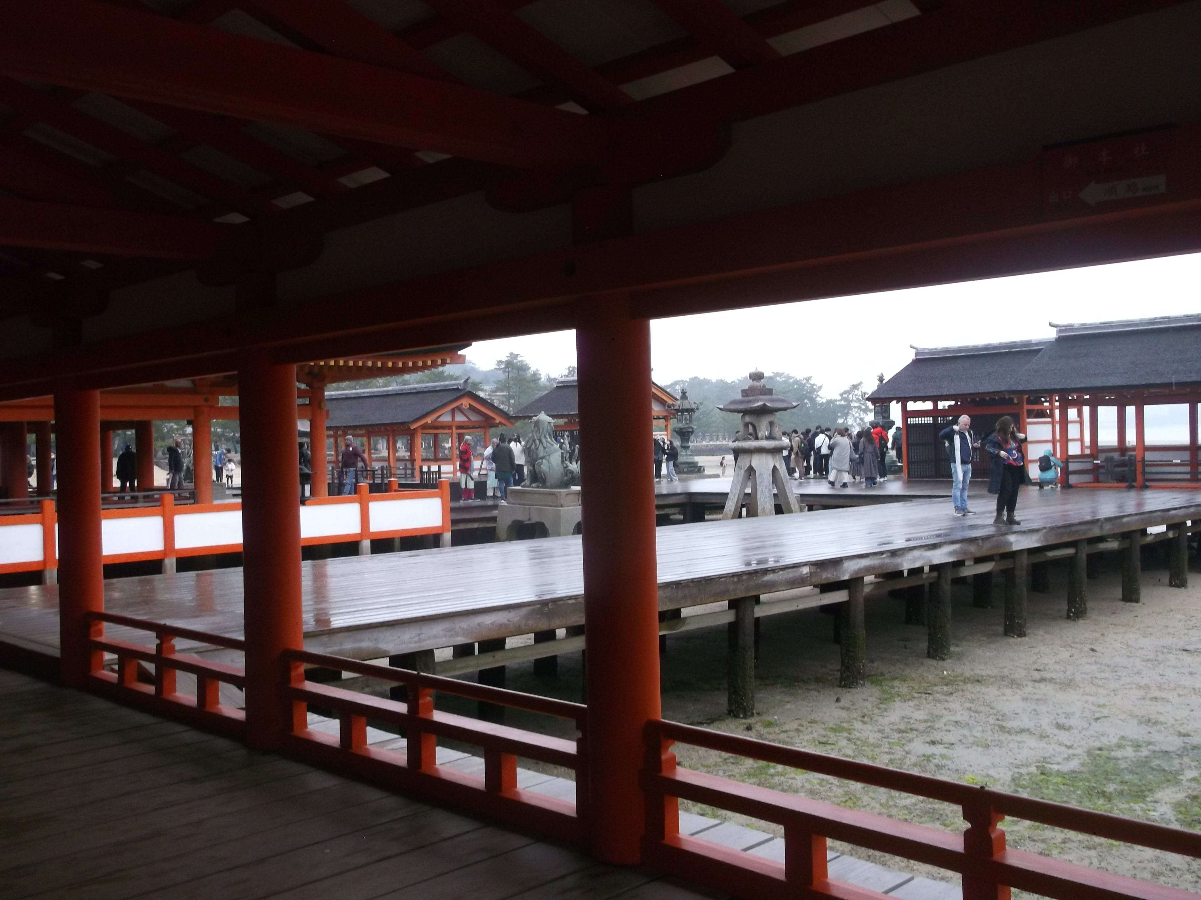 DSCF3852.JPG