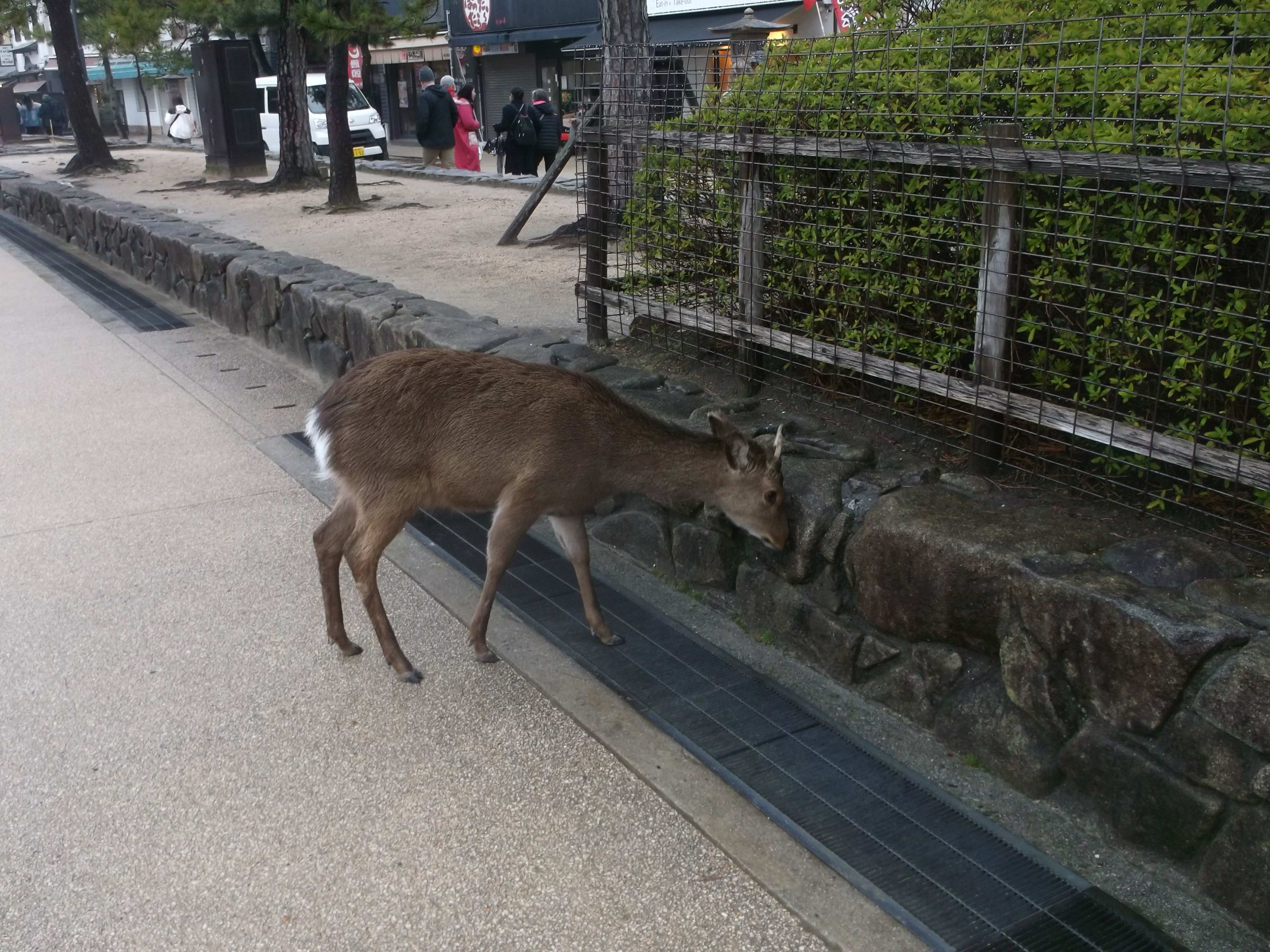 DSCF3829.JPG