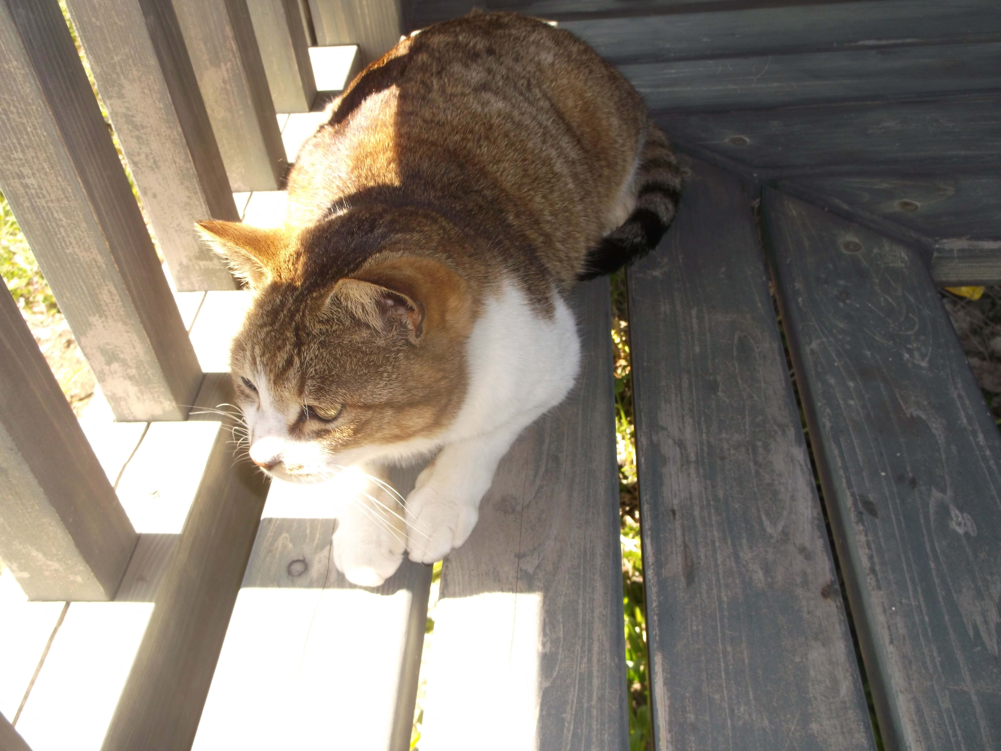 DSCF4312.JPG