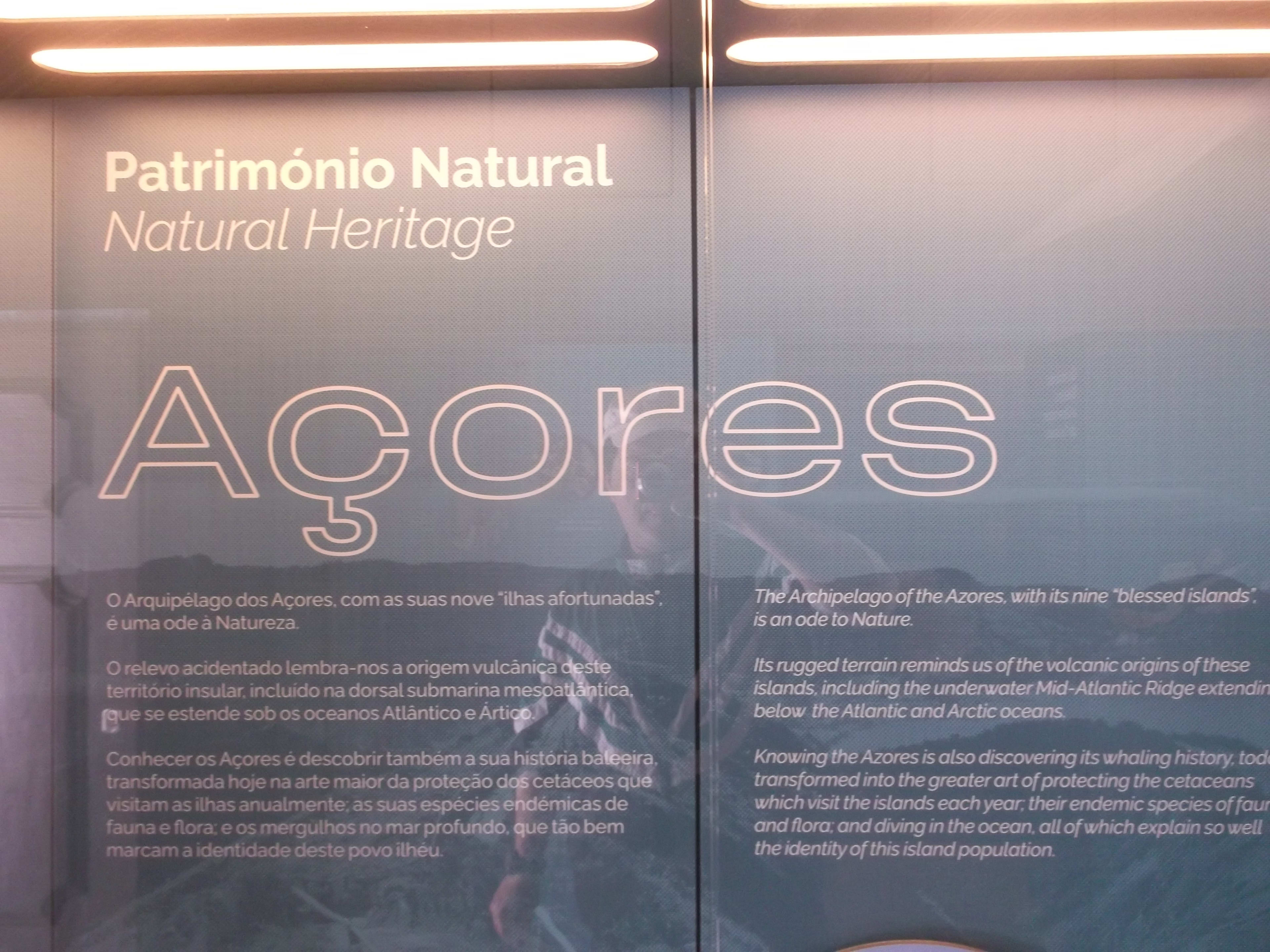 DSCF8766.JPG