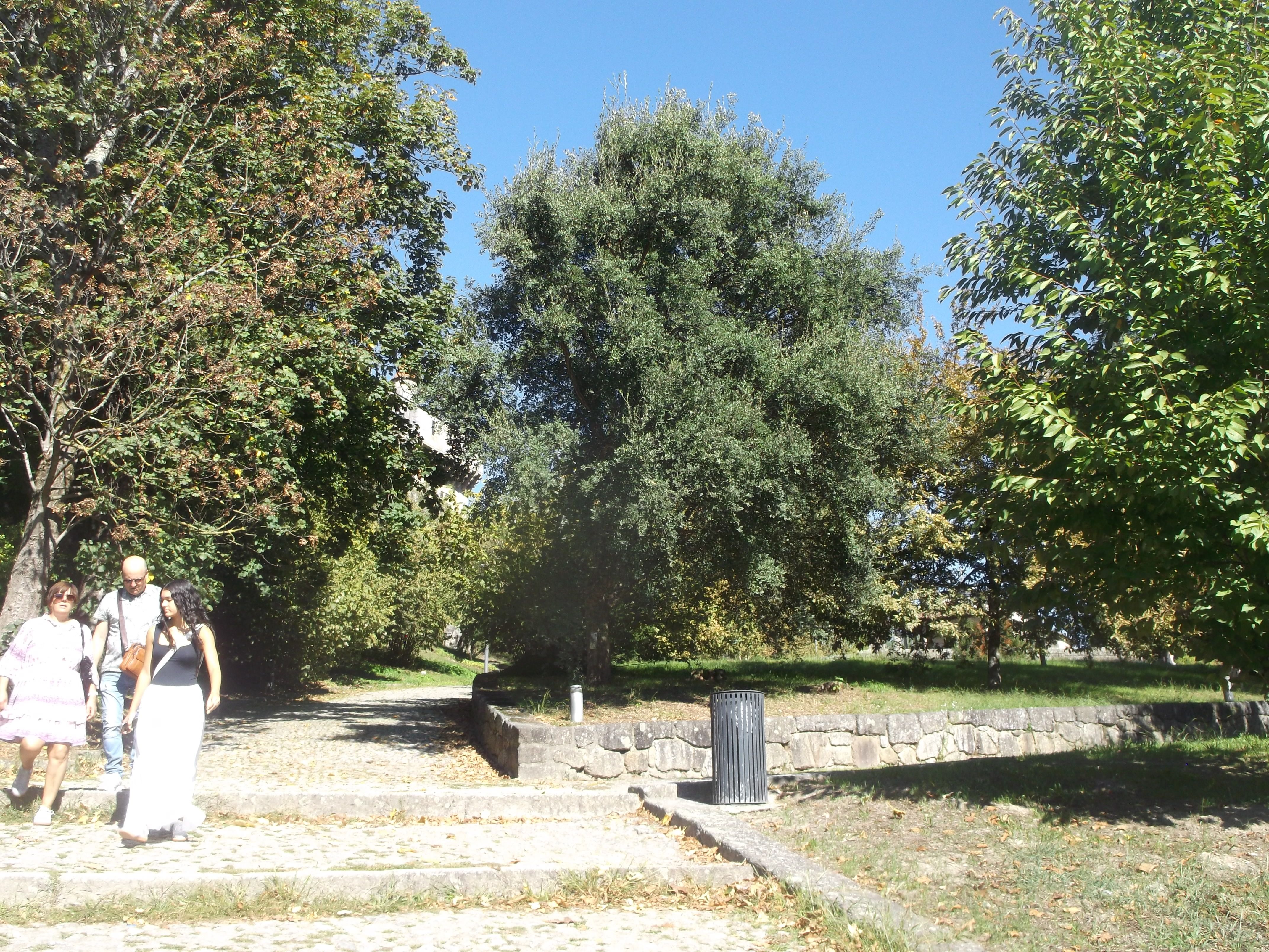 DSCF9124.JPG