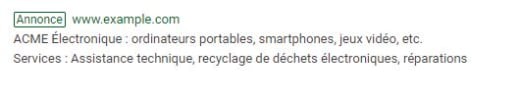 Extension extrait de site