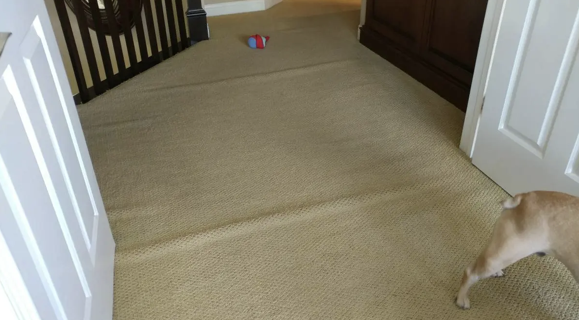 Carpet re-stretching before