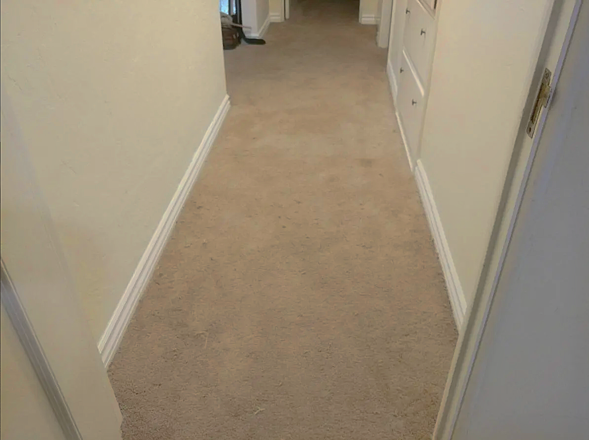 New carpet installation after
