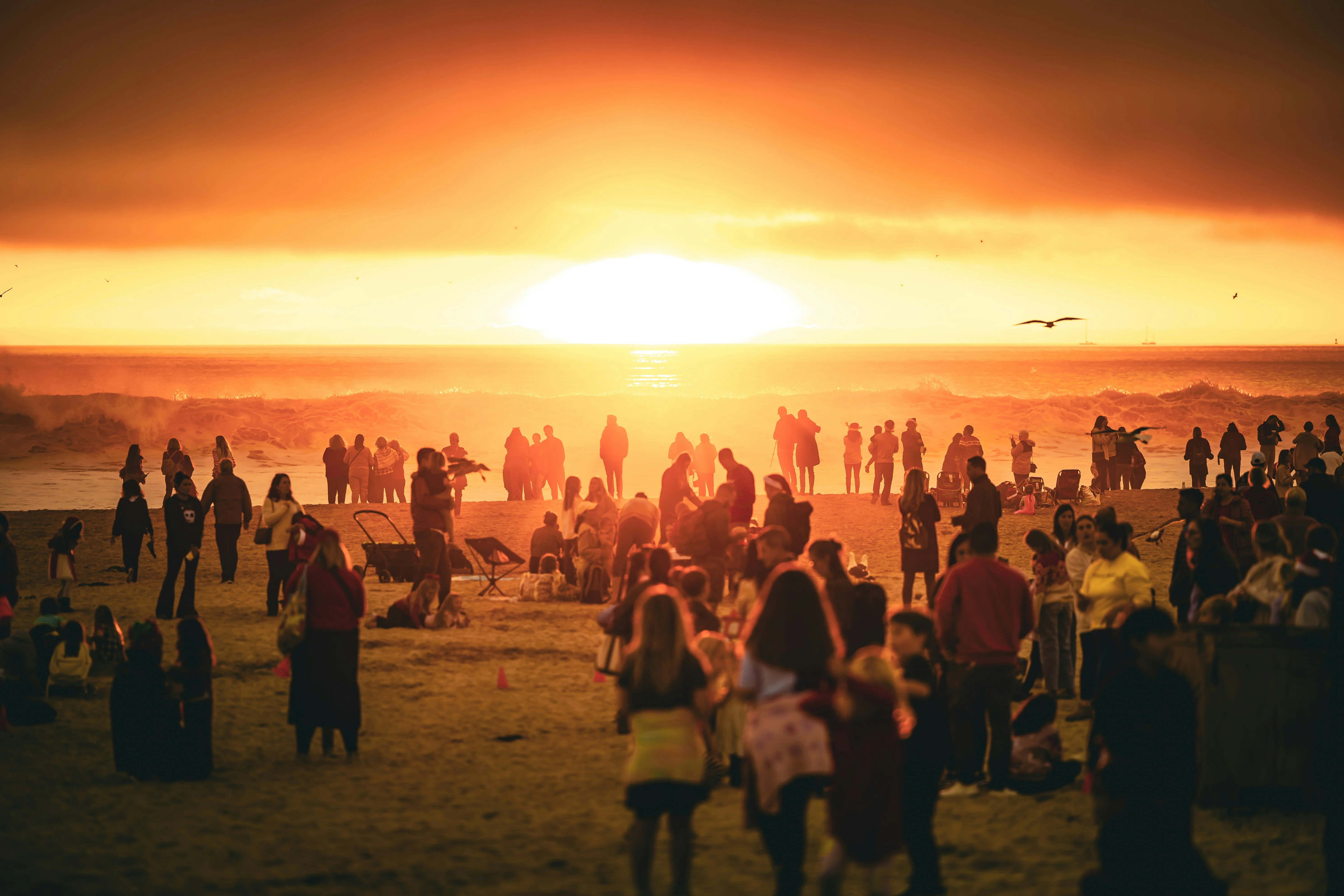 Top Bitcoin Treasury Companies by Country