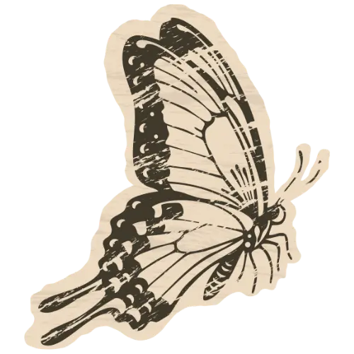 Mariposa