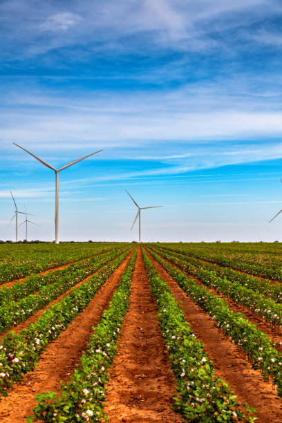 General Agriculture