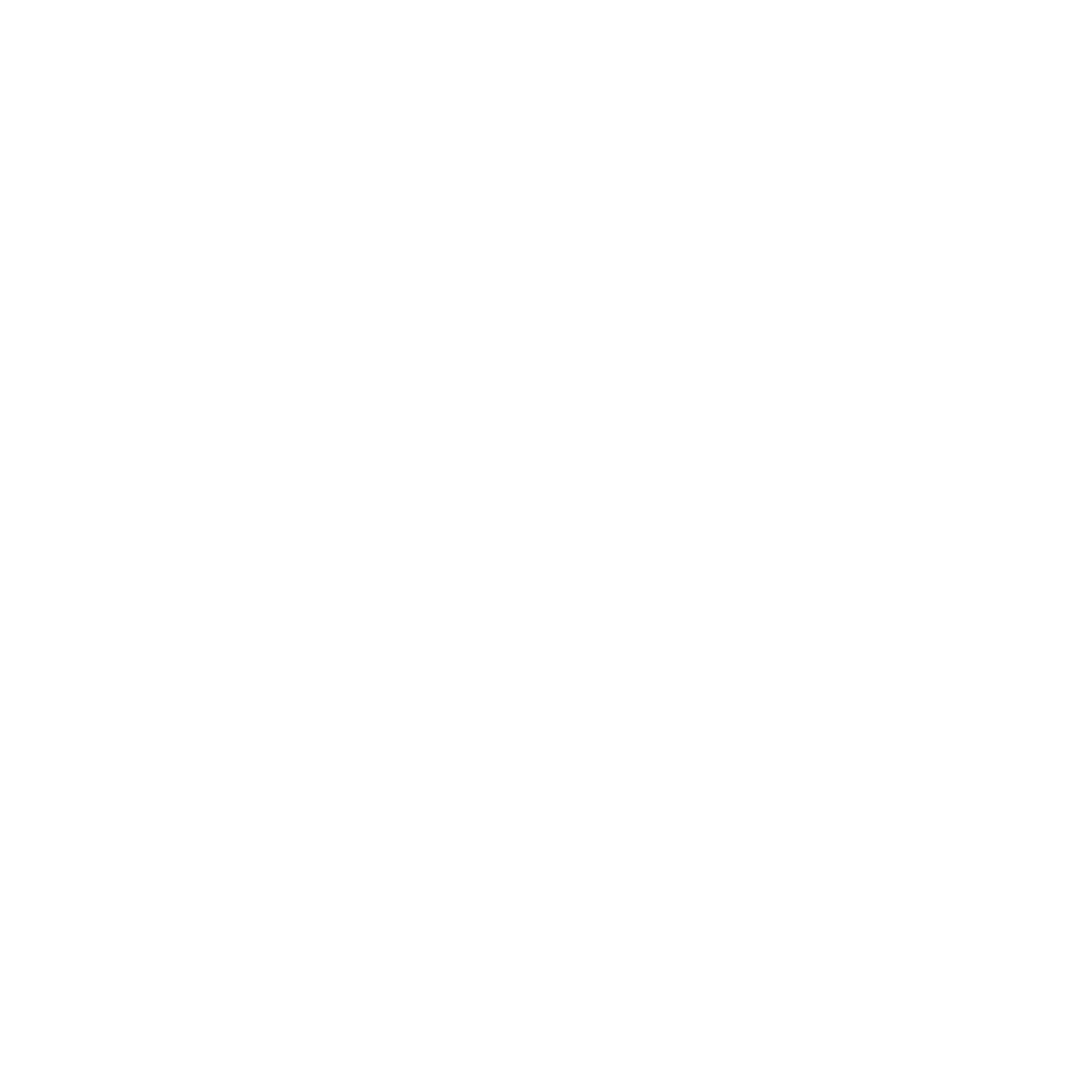 NxtChaptr Logo