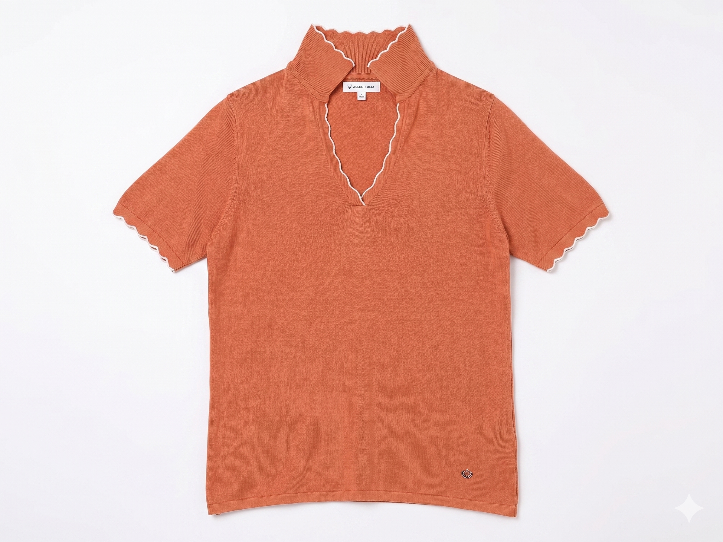 Brown Top