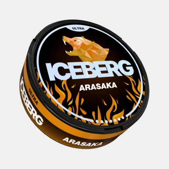 Iceberg Arasaka