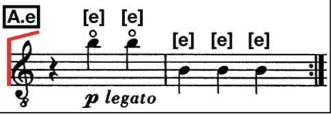 Fig. 6. “A.e” subsection.