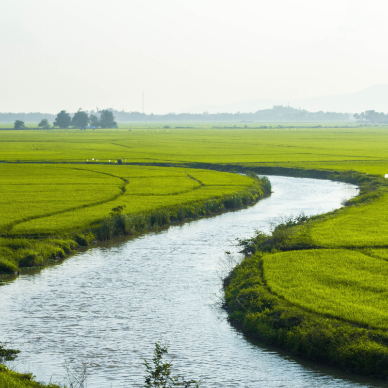 Atelier Eau & Biodiversité