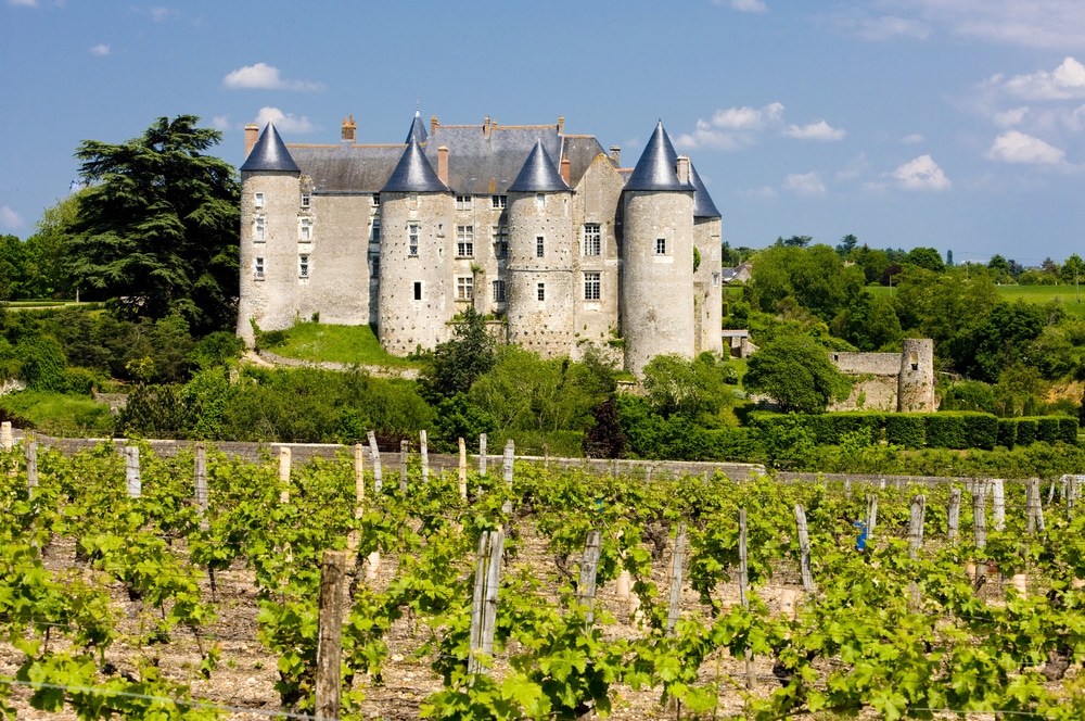 Rows of vines in a Loire Valley vineyard