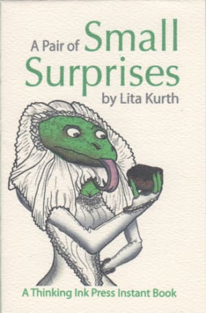 cover of Instant Book Small Surprises by Lita Kurth