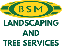 BSM Landscaping and Tree Service logo