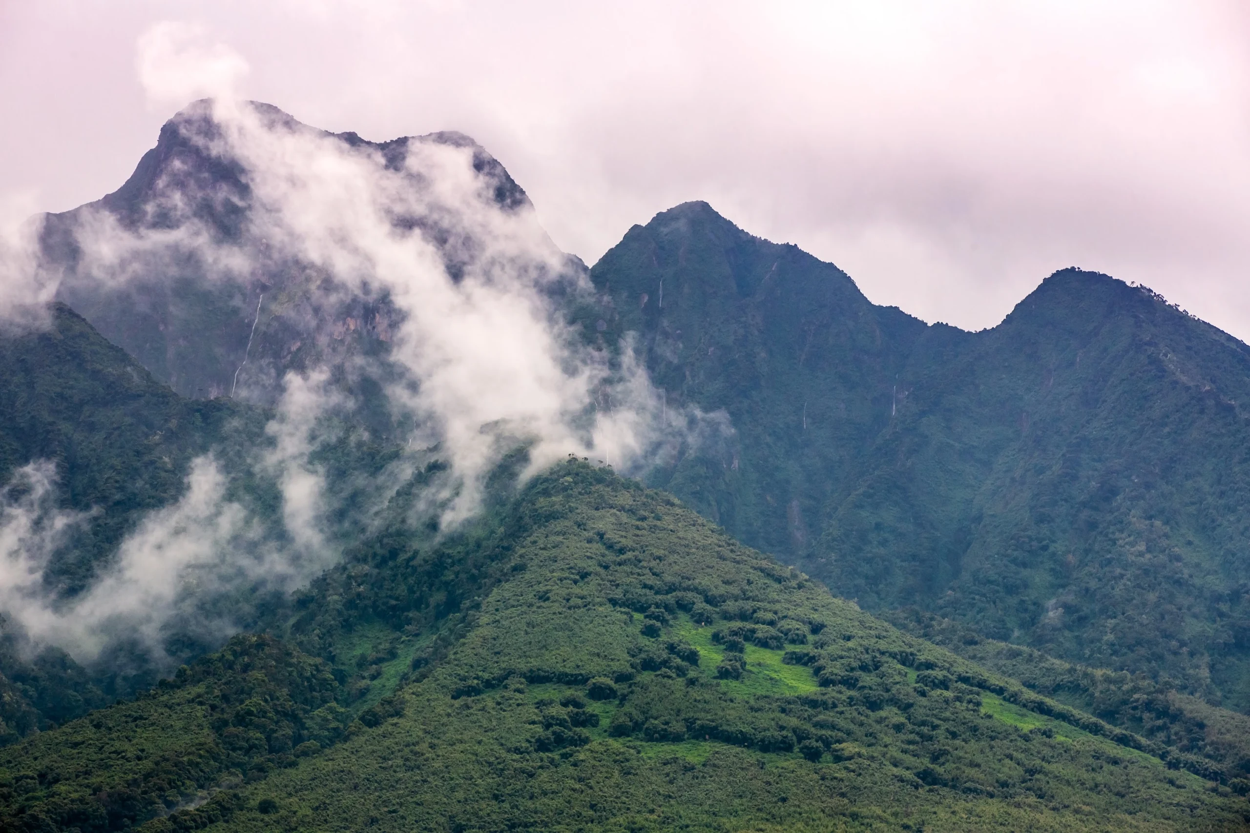 Rwanda Gorilla Trekking 101: Everything You Need to Know
