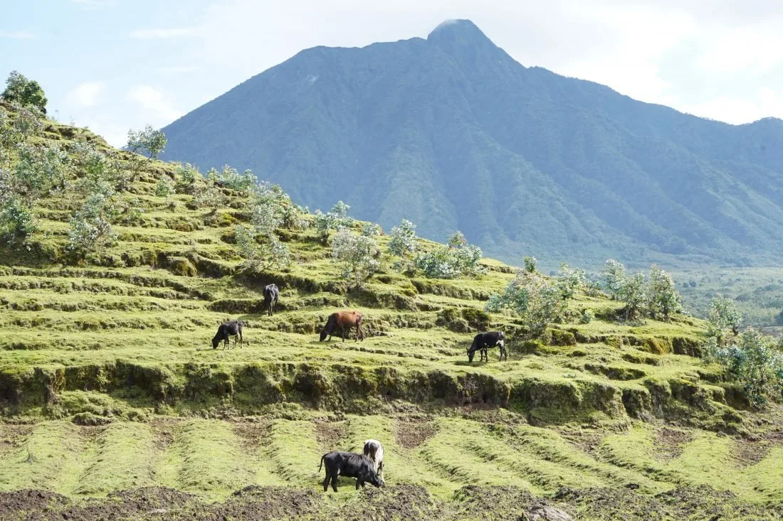 Rwanda volcanoes view photos