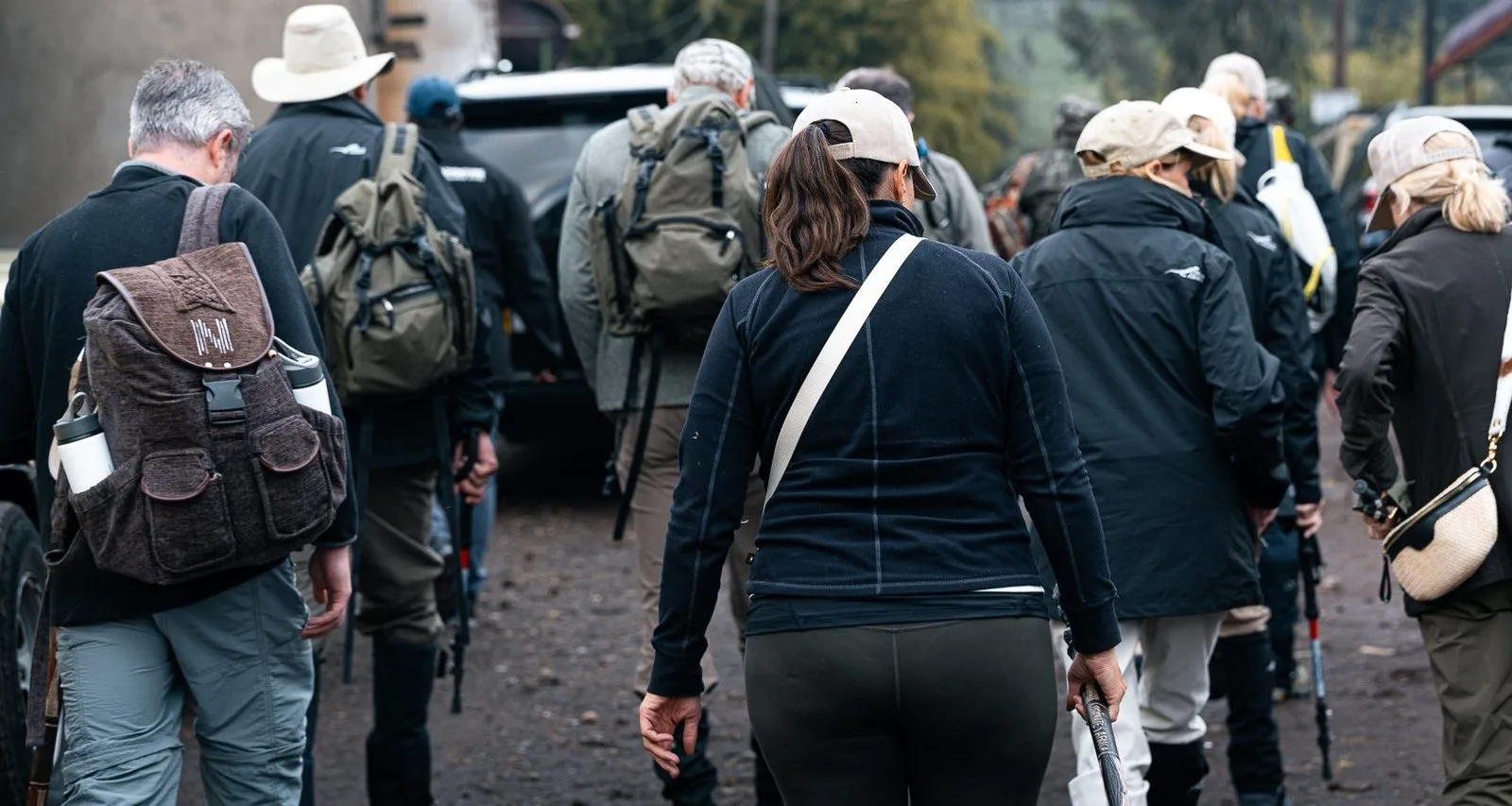 Exploring Primates in Africa: How Rwanda Gorilla Permits Assist in Conservation and How Primates Africa Sets the Standard