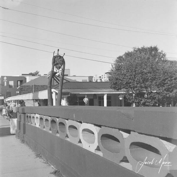 Rolleicord V photo 2