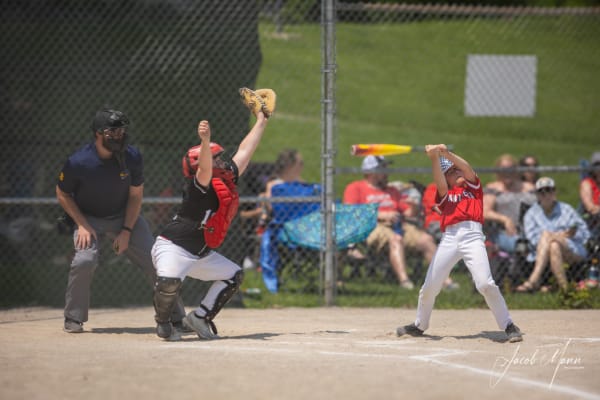 Baseball photo 6