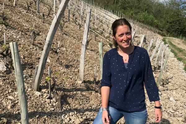 Cover image for Domaine Céline Jacquet