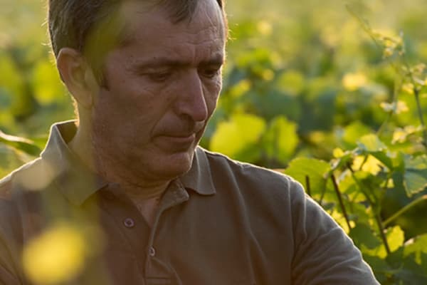 Cover image for Champagne Legret & Fils