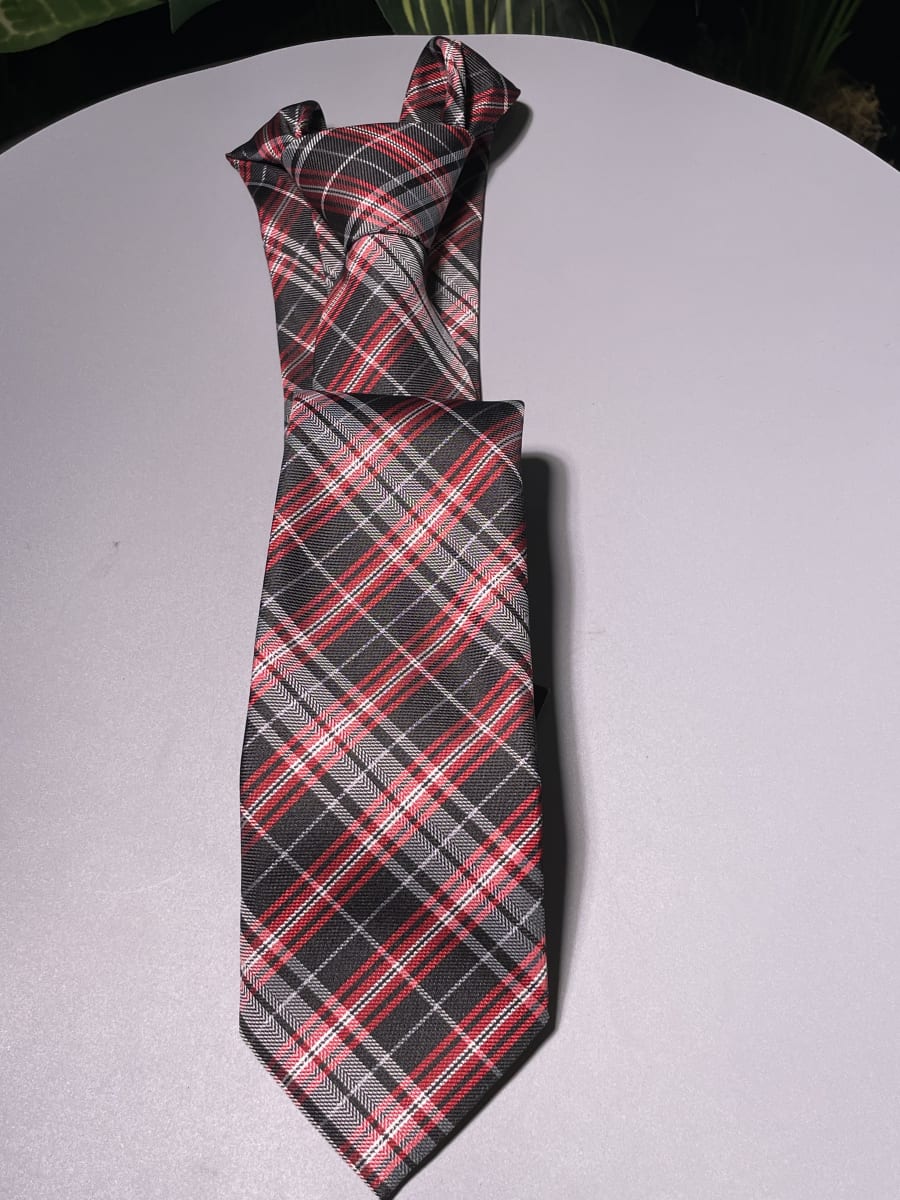 CHECKERED TIES