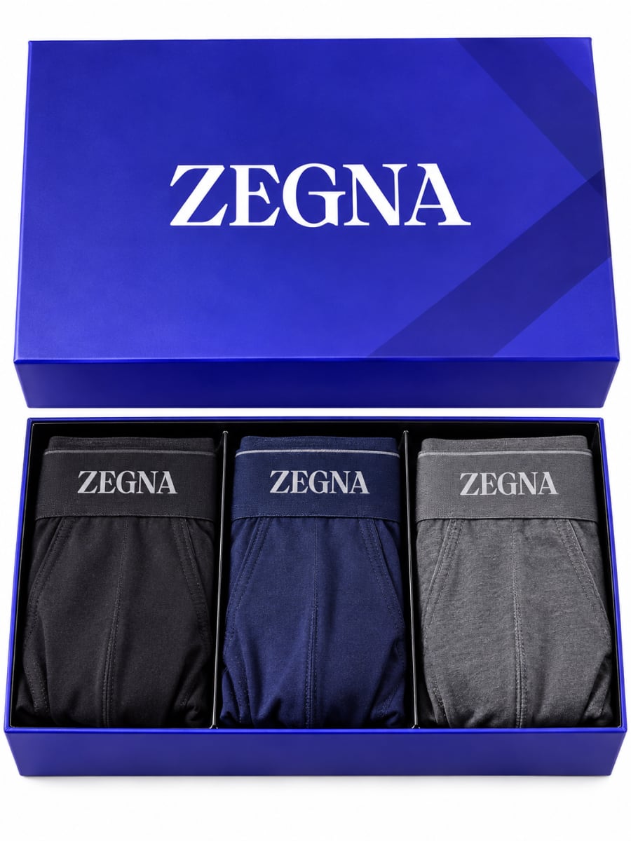 ZEGNA - BREIFS