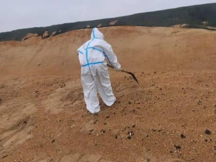 На берегу Анапы после шторма обнаружили новые выбросы мазута