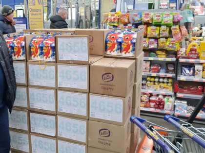 Дед Мороз и Снегурочка поздравят с Новым годом детей по просьбе депутата Госдумы Ивана Лоора