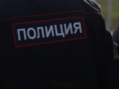 В Бийске покупатель ударил кассира электрошокером и украл выпивку