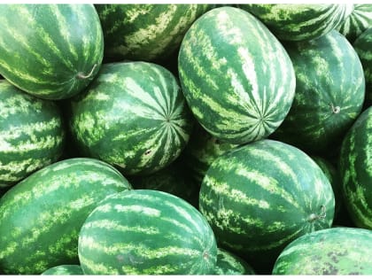 Как правильно выбрать арбуз