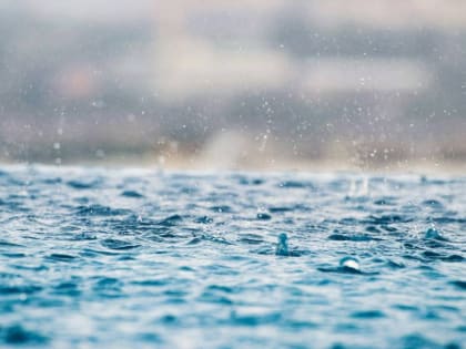 Дождь и ветер ожидаются в Алтайском крае 10 апреля