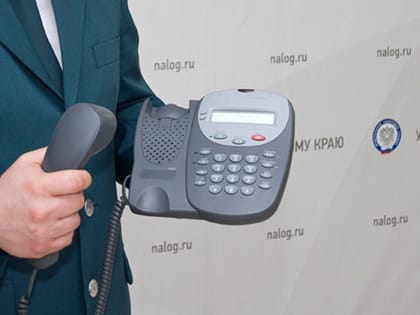 Горячая линия по имущественным налогам в Алтайском крае