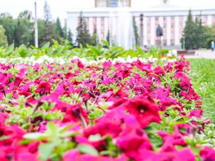 В ожидании жары: в Алтайском крае в День России местами пройдут дожди