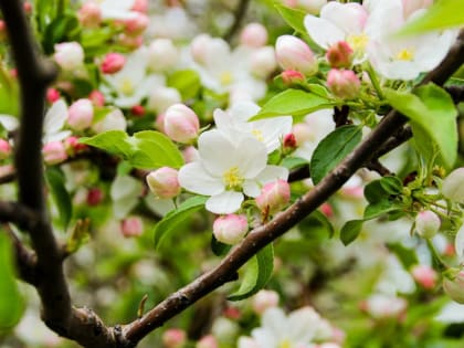 Алтайский край накрыло майское похолодание с дождями и ветром