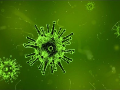 Более 80 тысяч человек заражены коронавирусом в России