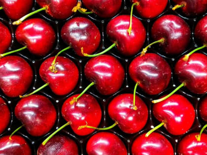 Диетолог назвала малоизвестное полезное свойство черешни