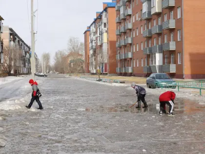 Дождь и гололед: бийчанам рассказали, стоит ли в марте ожидать заморозков