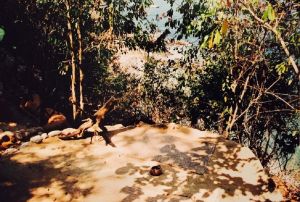 Spiritueel reisverhaal: Magisch Mexico. De bewuste meditatieplek.