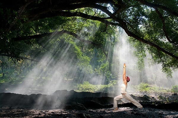 Wat is forest bathing?