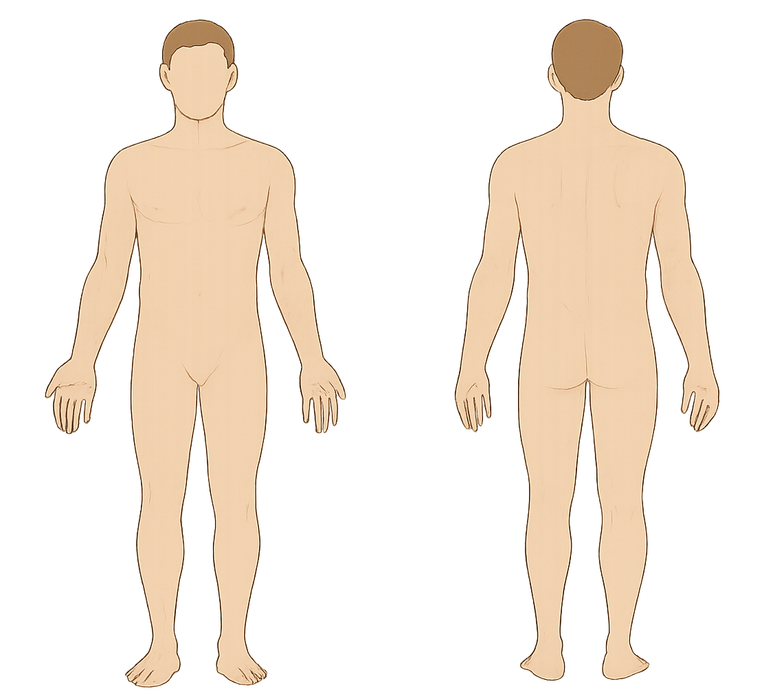 SPARCC Enthesitis Diagram