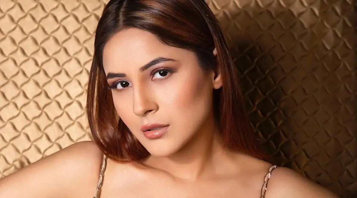 Close-up portrait of Shehnaaz Gill posing gracefully in front of a golden textured wall